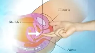 Busty උද්ඝෝෂකයා fingering මෝඩයෙක් සමග vibrator