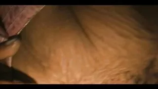 මුවදොර වටිනා කාශ්යප